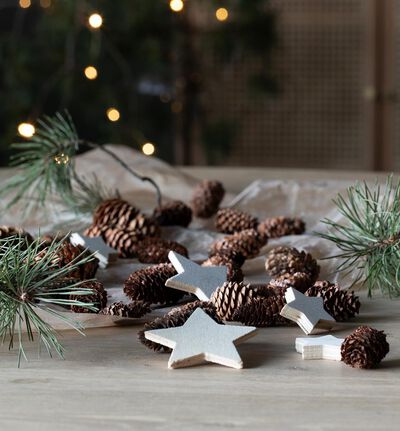 Kongler og stjerner i pose natur Kongler og stjerner i pose natur